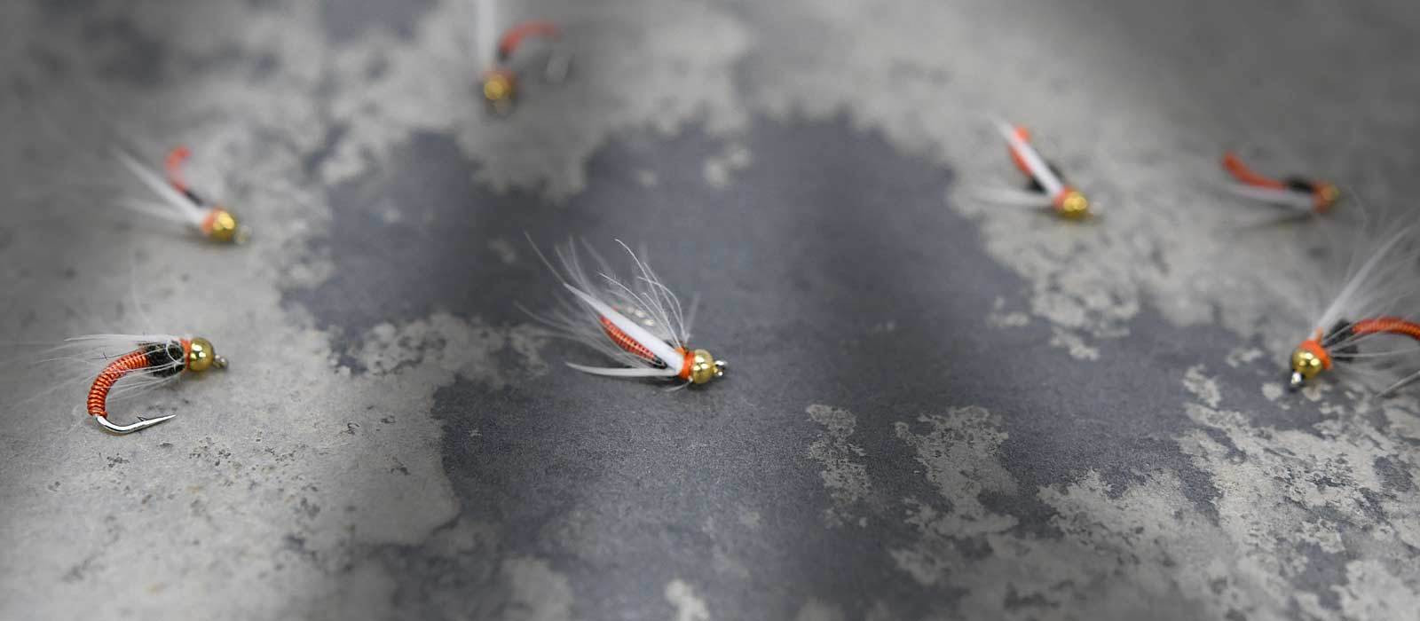 Searching Nymphs