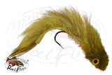 Olive Yellow Eye Sculpin