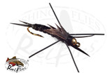 Stonefly Nymphs and Stone Flies - ReelFlies