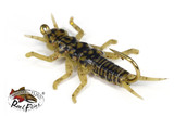 Realistic Olive Stonefly Nymph