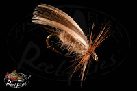 Top Winged Caddis Fly