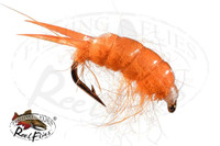 Sowbug Orange Scud