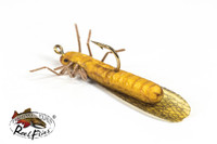 Realistic Golden Stonefly Dry Fly