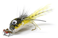 Olive Bass Bug Fly
