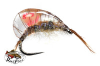 Spawning Gammarus Fly