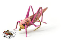 Realistic Pink Hopper Fly