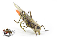 Realisitic Natural Hot Butt Grasshopper