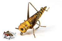 Realistic Gold and Brown Hopper