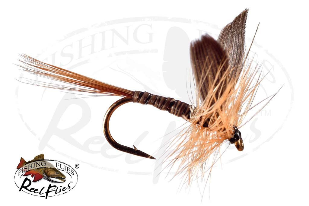 Ginger Quill Extended Body ReelFlies