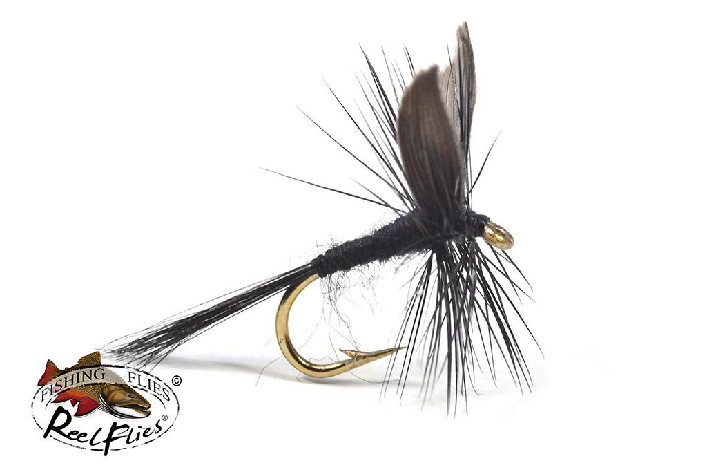 Black Gnat Dry Fly