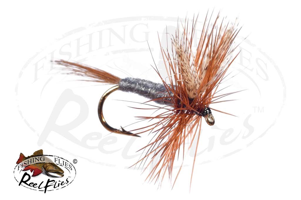 daiwa rods vs shimano Which stickbait rod is better for chasing kingfish, Daiwa or Shimano?