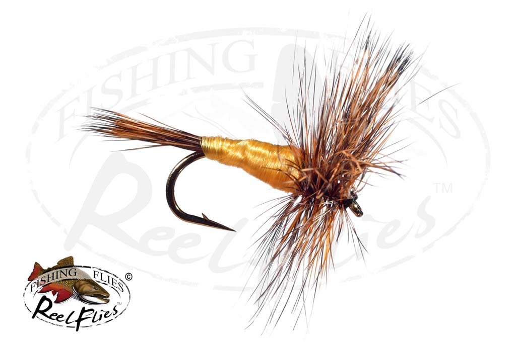 ルアー・フライ HOFFMAN #1 GRIZZLY Roostar Cape Grizzly-Wulff__02226.