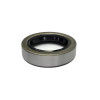 Pinion Yoke Seal, Rubber / Steel, PEM Grand National Quick Change Rear End
