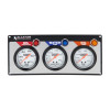 Gauge Panel Assembly