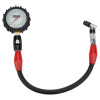 Tire Pressure Gauge, Glow in the Dark, 0-60 psi, Analog, 2-1/4 in Diameter, White Face, 1/2 lb Increments