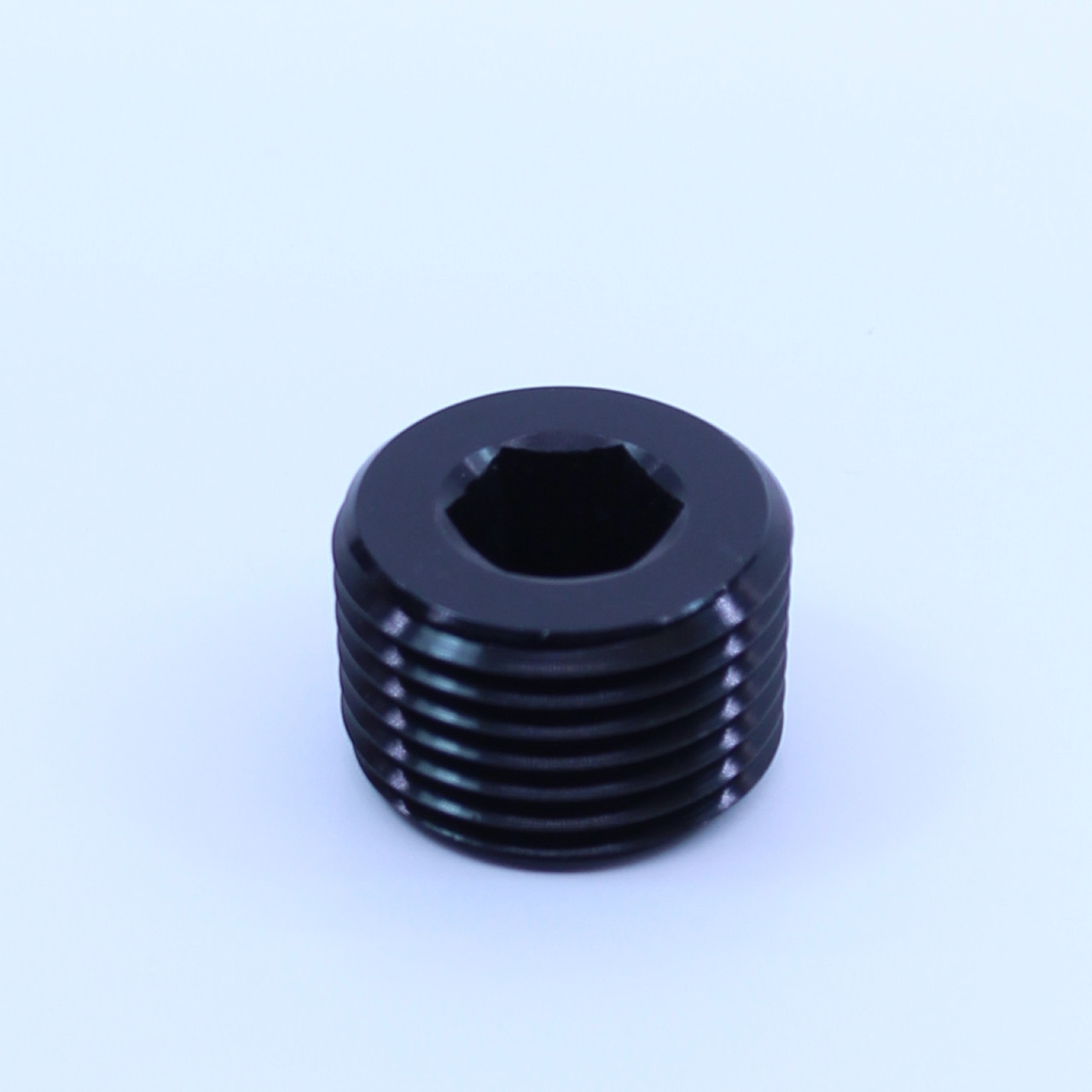 NPT PLUG