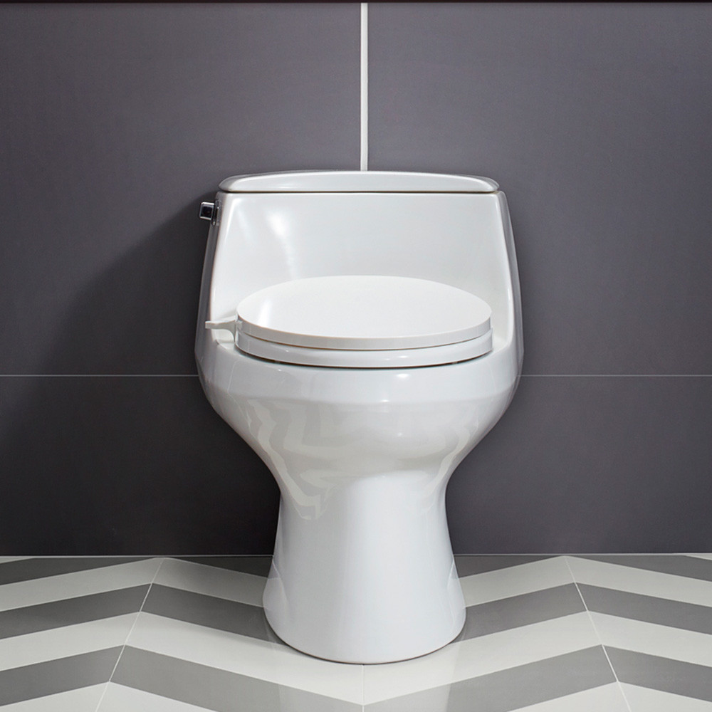 C3030 Manual Bidet Seat Kohler Philippines