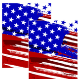 7.5"x10" MERICA USA Decals