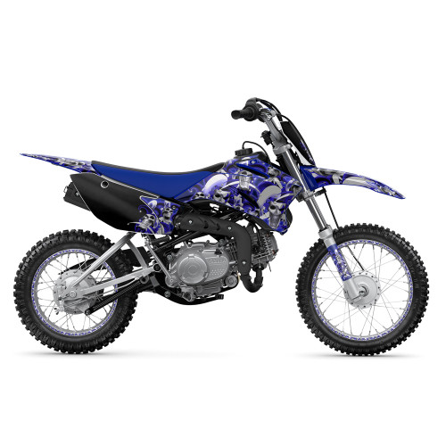 JESTER SHOWN ON TTR 110