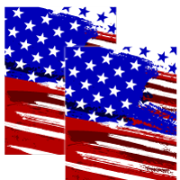 7.5"x10" MERICA USA Decals