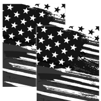 7.5"x10" MERICA Grey Decals