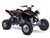 13 FLY BLACK SHOWN ON LTR 450