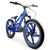 ALOHA BLUE STACYC COMPLETE SET 20 eDRIVE