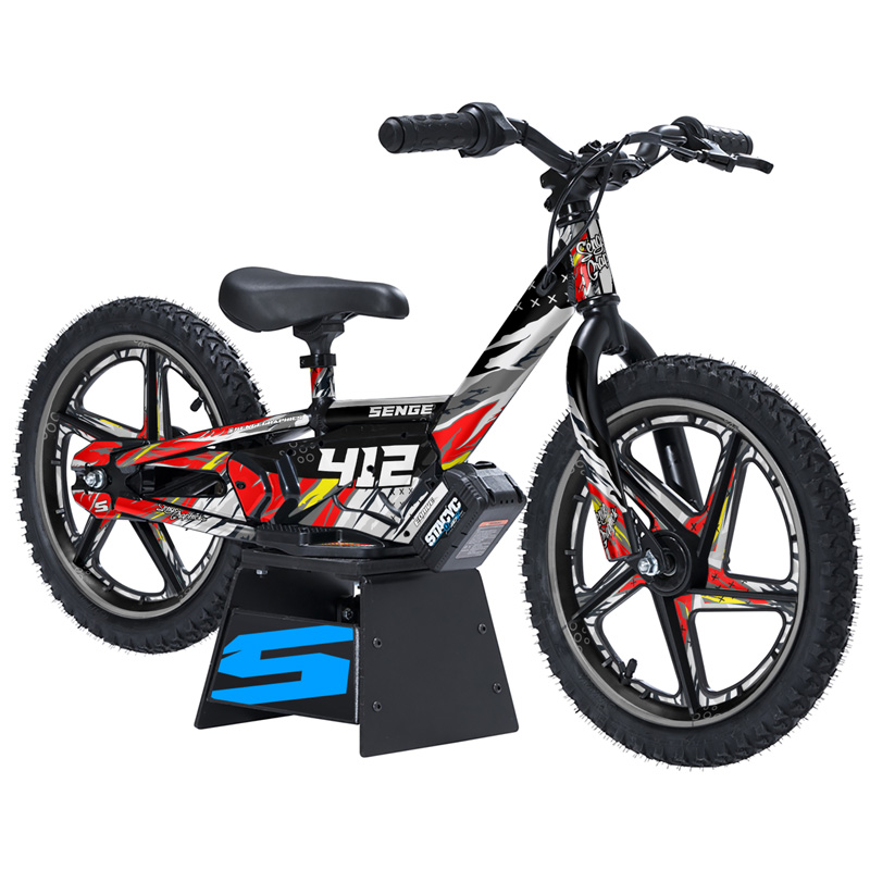 Kit de gráficos 12eDRIVE BASKIN Senge compatible con Stacyc - Imagen 13 de 21