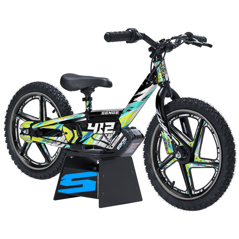 Kit de gráficos 12eDRIVE BASKIN Senge compatible con Stacyc - Imagen 21 de 21