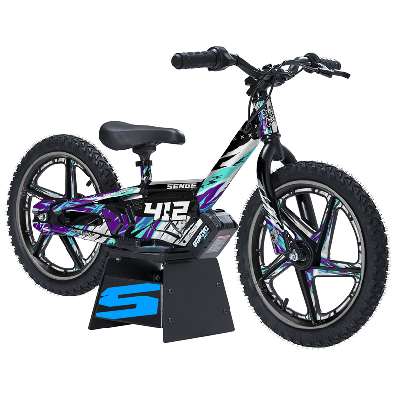 Kit de gráficos 12eDRIVE BASKIN Senge compatible con Stacyc - Imagen 17 de 21