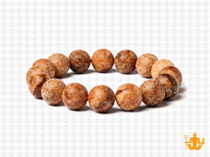 10mm Matte Picture Jasper Elastic Bracelet 7.5" natural [b4b26m]