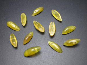 4x14mm Amber Horn Marquise Beads Front Drill 43pcs. [z2078]