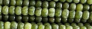 6mm Nephrite Rondelle Beads 15.5" [v0513]
