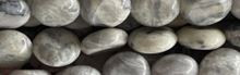 15mm Gray Jasper Puff Coin Beads 15.5" [v0722]