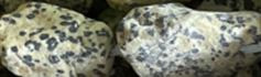 20-25mm Dalmatian Jasper Nugget 15.5" [v1963]