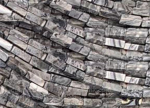 4x13mm Silver Leaf Jasper Cube Beads 15.5" natural [h2b30]