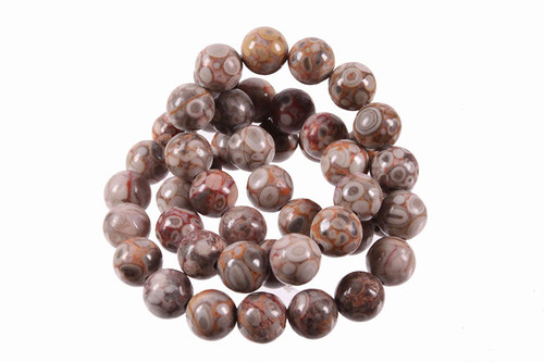 8mm Fossil Agate Round Beads 15.5" natural [8r68]