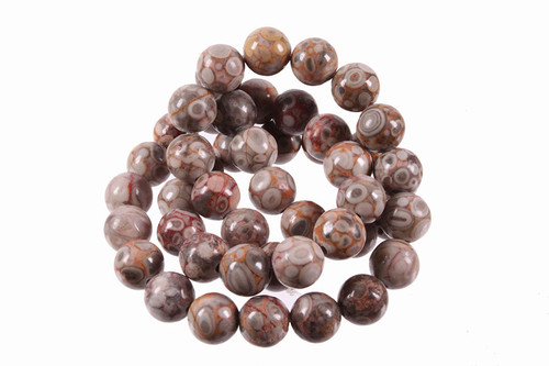 12mm Fossil Agate Round Beads 15.5" natural [12r68]