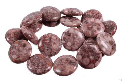 20mm Fossil Jasper Coin Beads 15.5" natural [w430]