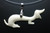 50x20mm Buffalo Bone Dog Designer Bead Pendant [z5695]