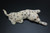 85x32mm Buffalo Bone Panther Brooch with Rhinestone [z5318]