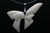 60x45mm Buffalo Bone Butterfly Designer Bead Pendant [z5611]