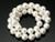12mm Best Lustre faux Round Pearl 15.5" Acrylic [f57w]