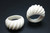 14mm Buffalo Bone Rope Dome Ring [z1804]