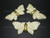 68X35mm Buffalo Bone Butterfly Part & Metal With Drill [z1758]