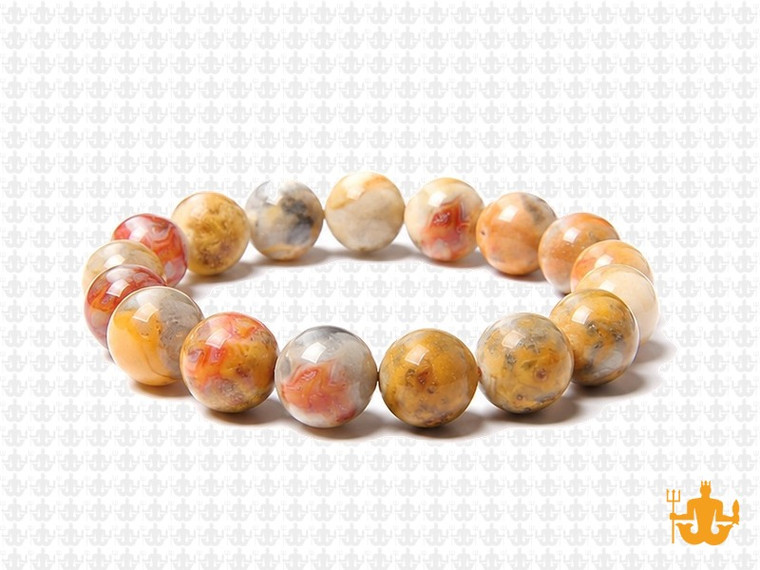 10mm Crazy Lace Agate Elastic Bracelet 7.5" natural [b4r28]