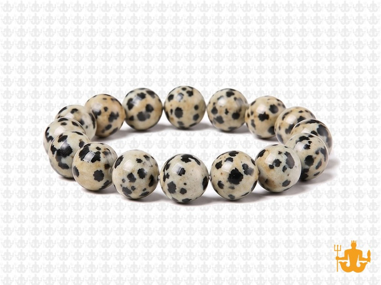 10mm Matte Dalmatian Jasper Elastic Bracelet 7.5" natural [b4b23m]
