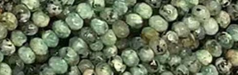 4mm Sesame Agate Faceted Rondelle Beads 15.5" [v0323]