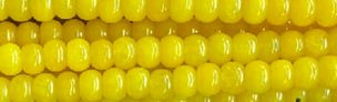 6mm Yellow Chalcedony Rondelle Beads 15.5" [v0544]