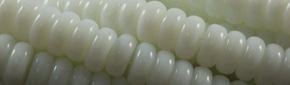 6mm White Obsidian Rondelle Beads u93b98 15.5" synthetic [v0598o]